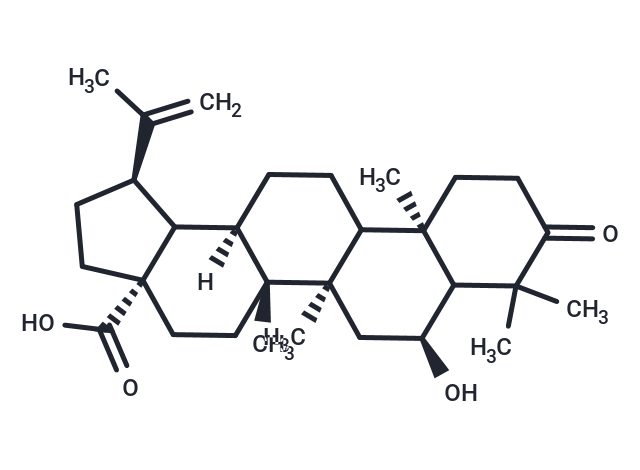 化合物 6-Hydroxy-3-oxo-20(29)-lupen-28-oic acid|T126463|TargetMol