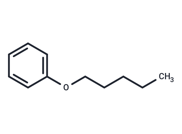化合物 Pentyl phenyl ether|T25936|TargetMol