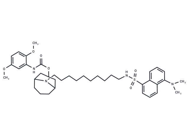 化合物 SW116|T26243|TargetMol