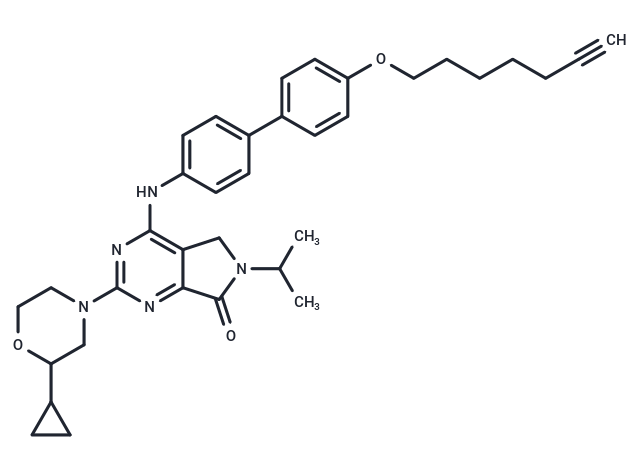 化合物 KCC2 Modulator-1|T86779|TargetMol
