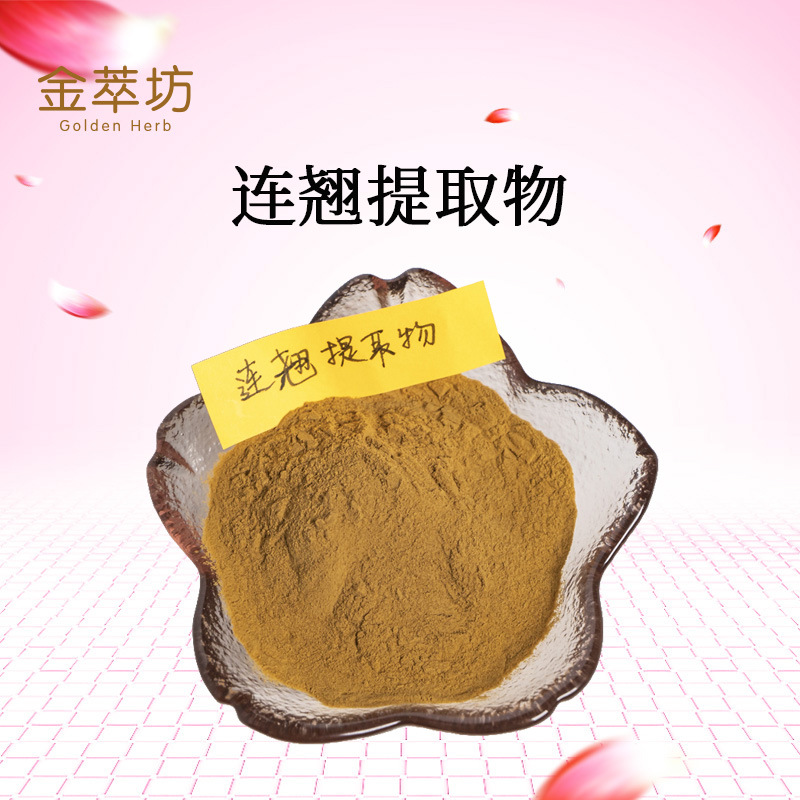 连翘提取物 连翘粉 连翘果实萃取