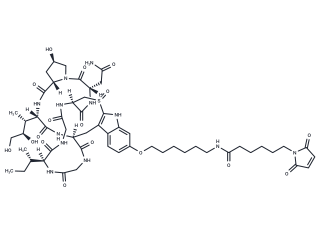 化合物 Mal-C6-α-Amanitin|T18249|TargetMol