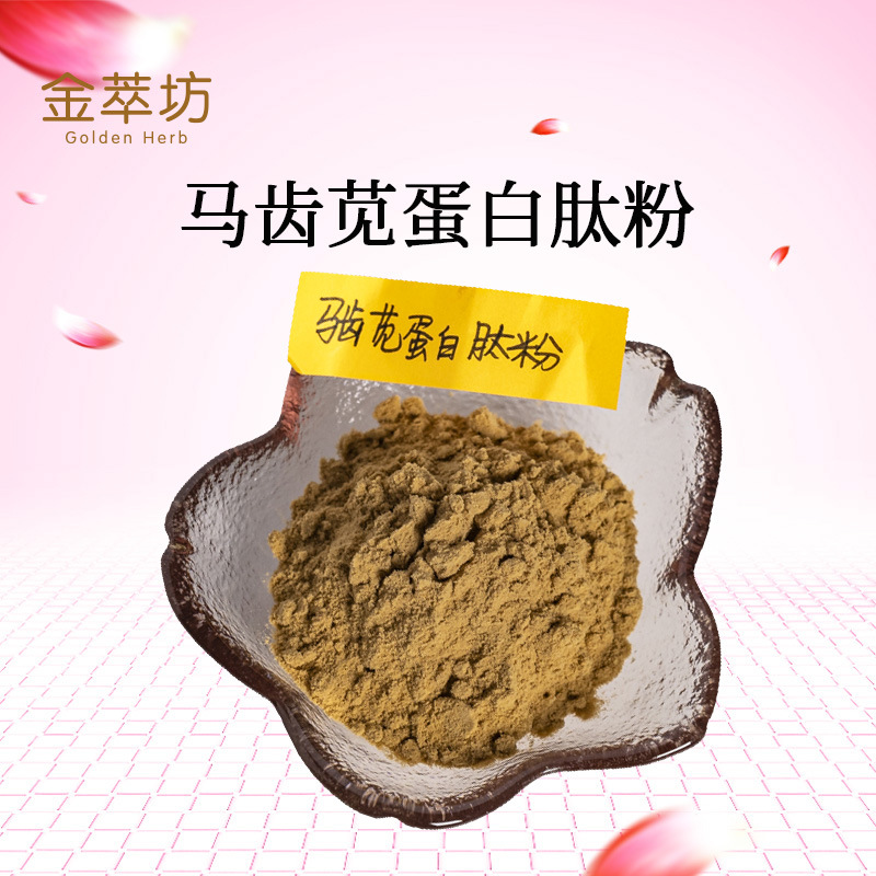 马齿苋蛋白肽粉 马齿苋肽粉 马齿苋提取物 马齿苋粉