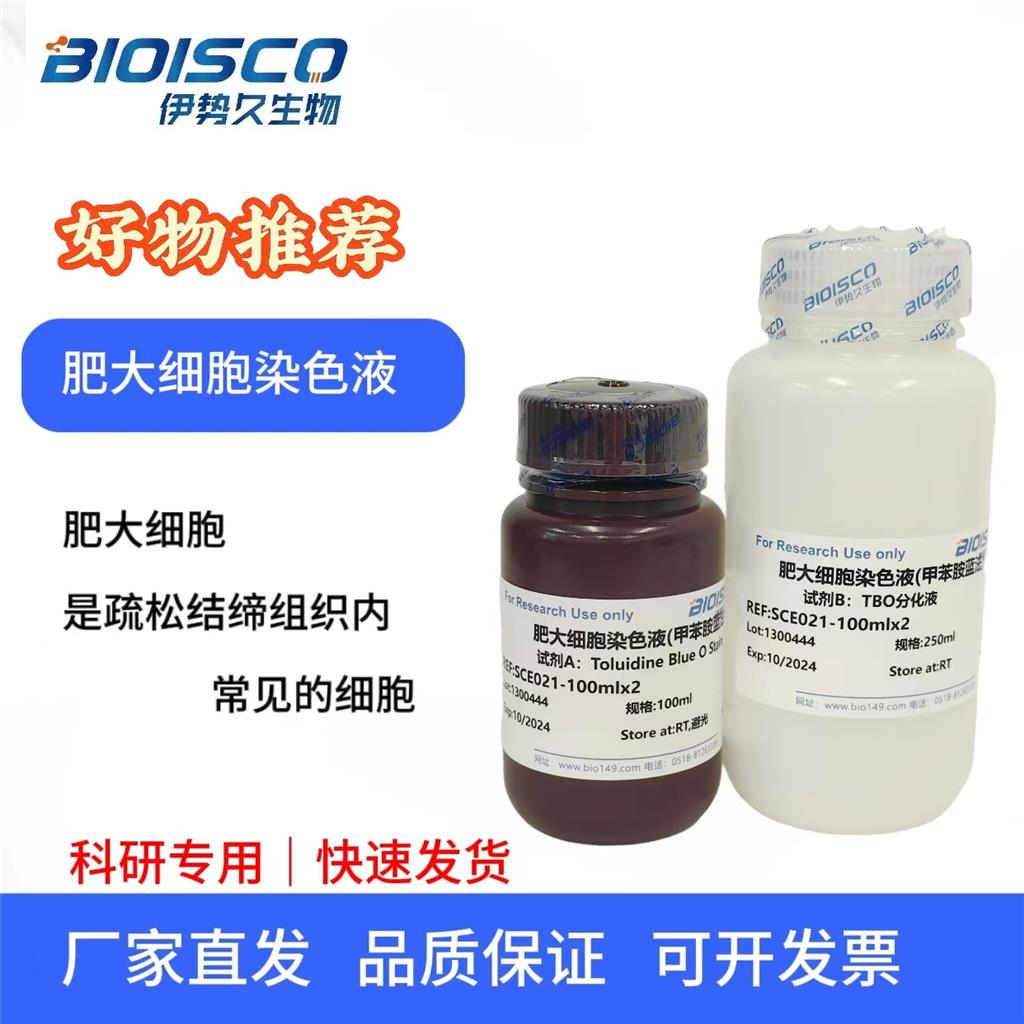 肥大细胞染色液(甲苯胺蓝法)