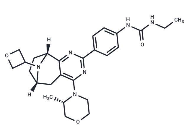化合物 GNE-555|T86516|TargetMol