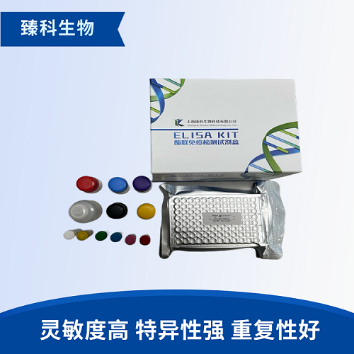 人蛋白质二硫键异构酶(PDI）elisa测定试剂盒