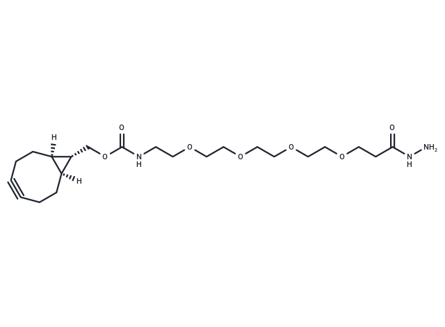 化合物 BCN-PEG4-hydrazide|T17535|TargetMol