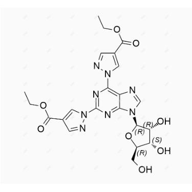 R013037.png R013037.png