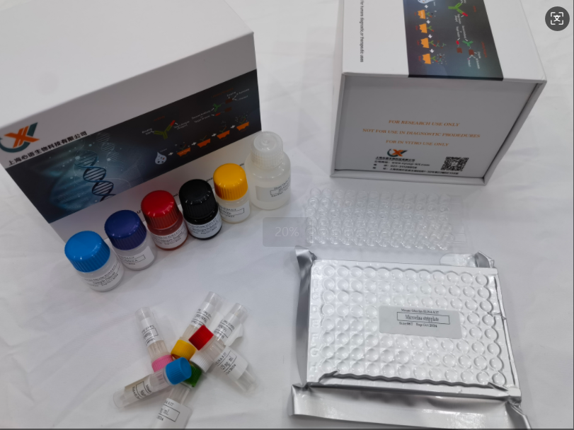 牛前列腺素E2（PGE2）ELISA试剂盒