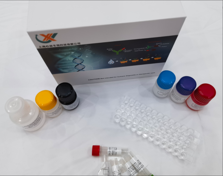 牛心肌特异性肌钙蛋白T（cTnT）ELISA试剂盒
