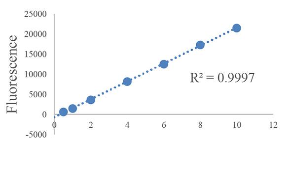 High Sensitivity dsDNA Quantification Kit 双链DNA定量试剂盒| 细胞核荧光染料 | EnkiLife恩玑生命