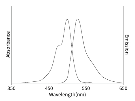 High Sensitivity dsDNA Quantification Kit 双链DNA定量试剂盒| 细胞核荧光染料 | EnkiLife恩玑生命