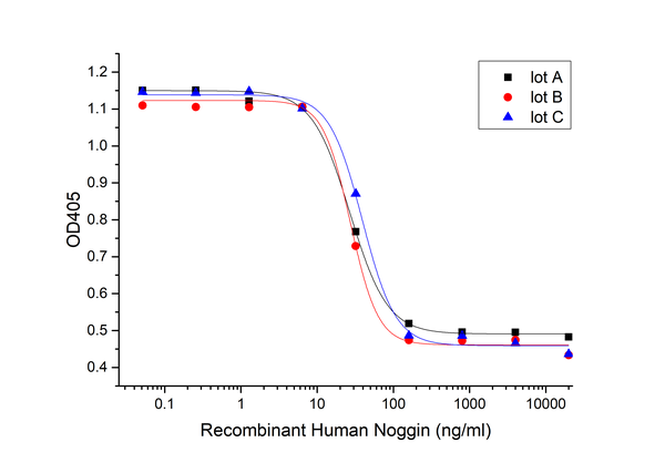 重组人Noggin蛋白 | EnkiLife恩玑生命