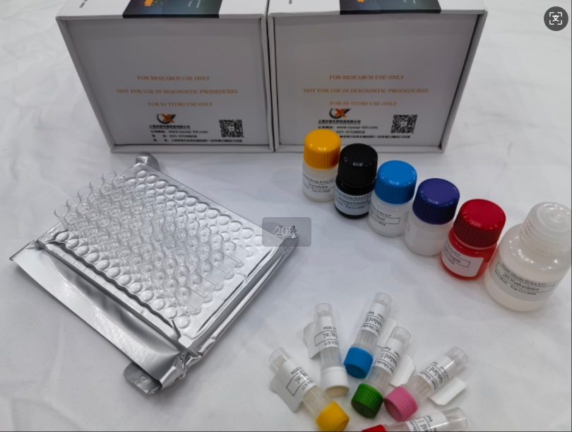 牛羊布鲁菌病抗体（TSBA）ELISA试剂盒