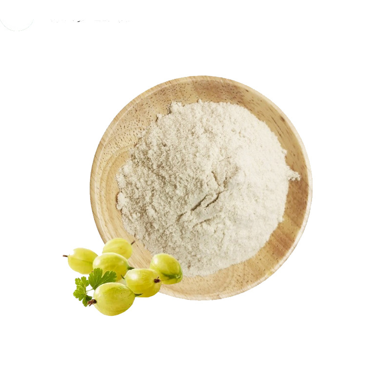 醋栗粉 速溶醋栗粉 醋栗粉固体饮料 醋栗提取物灯笼果粉