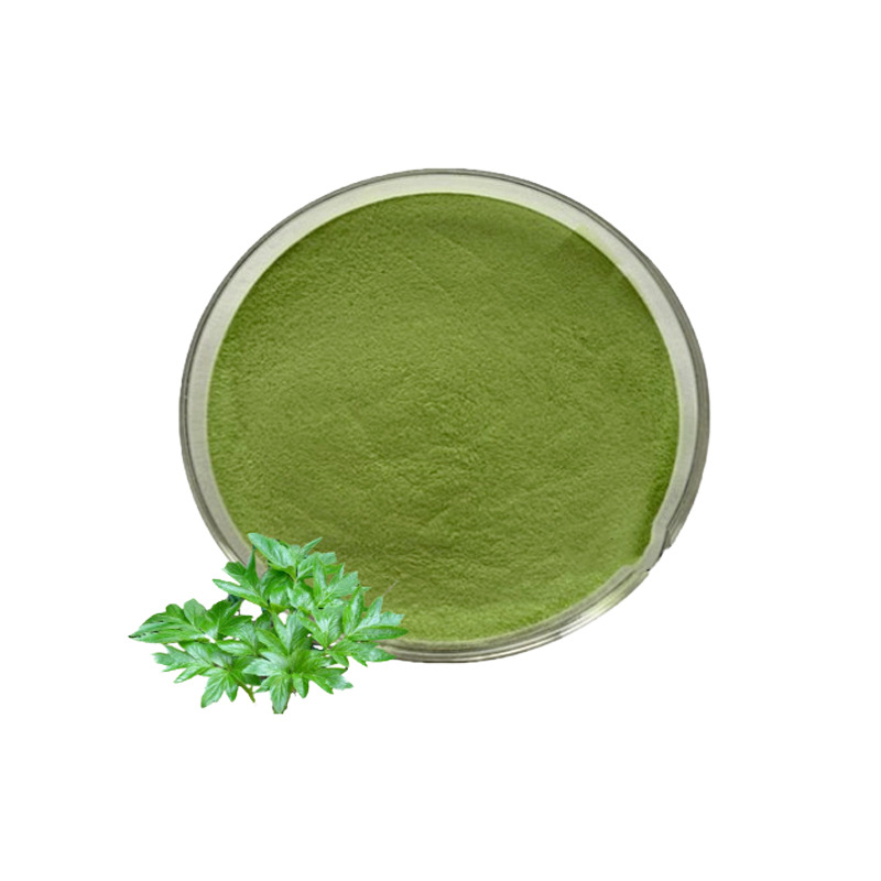 明日叶粉 明日叶提取物 牛至叶粉 