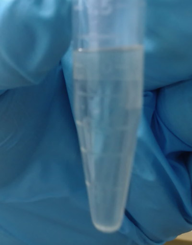 2-甲基-3-(甲基二硫代)呋喃  65505-17-1 香精香料