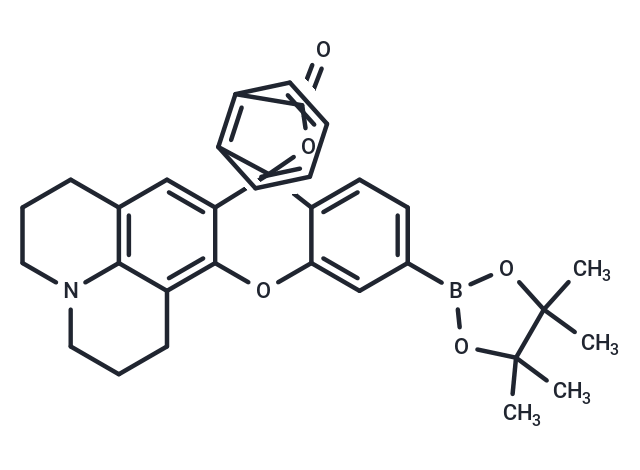 化合物 Peroxy Orange 1|T23135|TargetMol