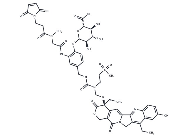 化合物 MAC glucuronide α-hydroxy lactone-linked SN-38|T18722|TargetMol