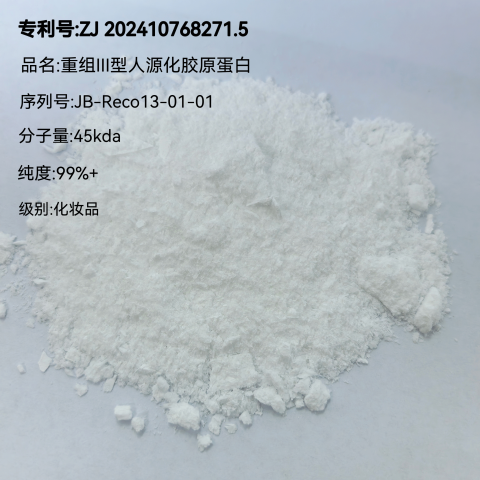 重组Ⅲ型人源化胶原蛋白