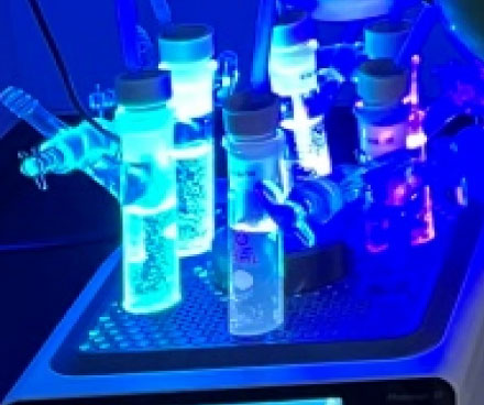 早期研发 药物化学_D早期研发 药物化学_Drug Discovery Medicinal Chemistryrug Discovery Medicinal Chemistry