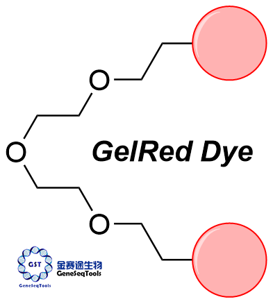 GelRed 染料 | GelRed Dye