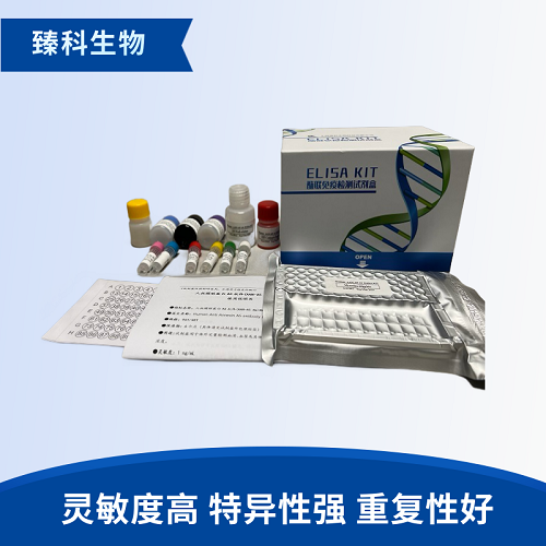 小鼠黏着斑激酶(FAK）elisa检测试剂盒