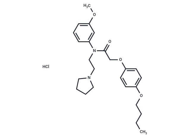 化合物 Acetamide, N-(m-anisyl)-2-(p-butoxyphenoxy)-N-(2-(1-pyrrolidinyl)ethyl)-, hydrochloride|T29570|TargetMol