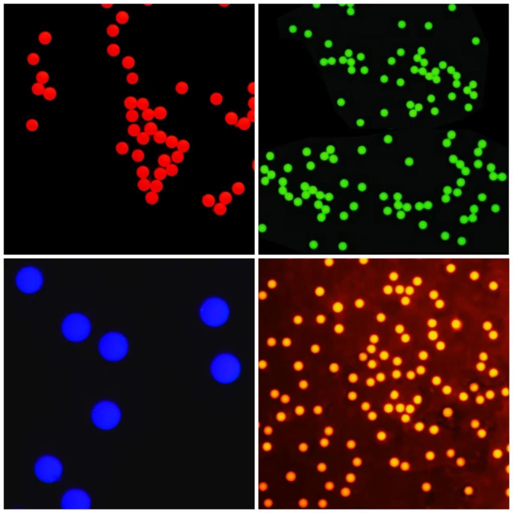 聚苯乙烯微球 20nm~100um