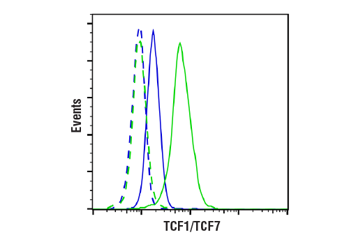 TCF1/TCF7 (C63D9) 兔单克隆抗体