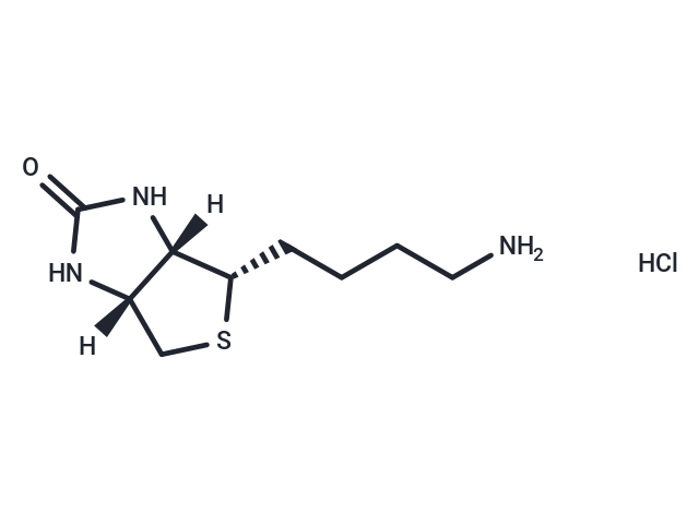 化合物 Norbiotinamine hydrochloride|T19481|TargetMol