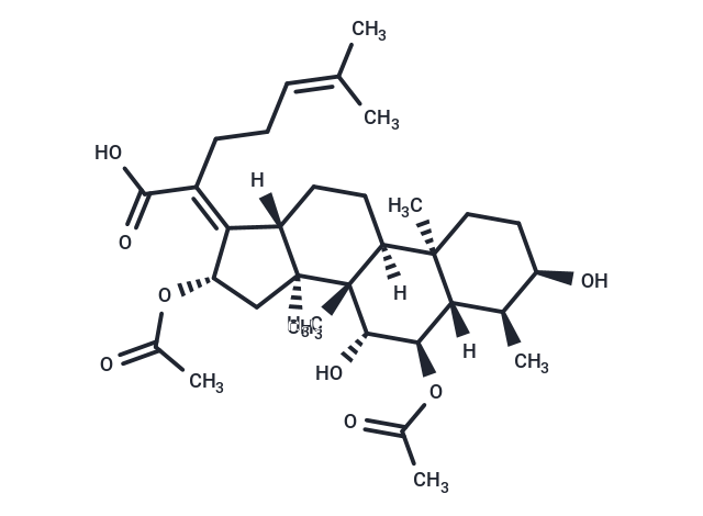 化合物 Cephalosporin P1|T30796|TargetMol