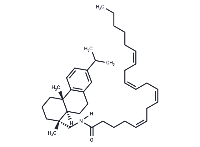化合物 Arachidonic Acid Leelamide|T22581|TargetMol