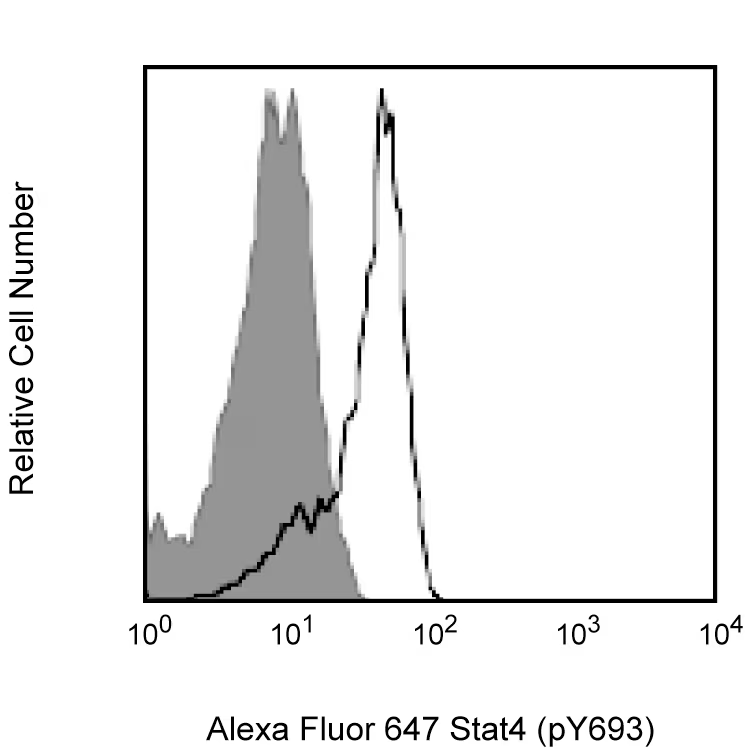 信号转导及转录激活蛋白 4 酪氨酸 693 位磷酸化单克隆抗体