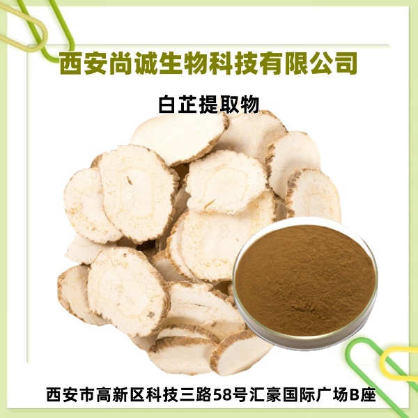 白芷提取物 香白芷提取物 白芷粉 尚诚生物 