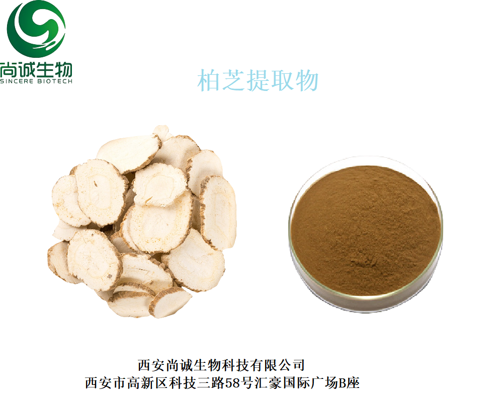 白芷提取物 香白芷提取物 白芷粉 尚诚生物 