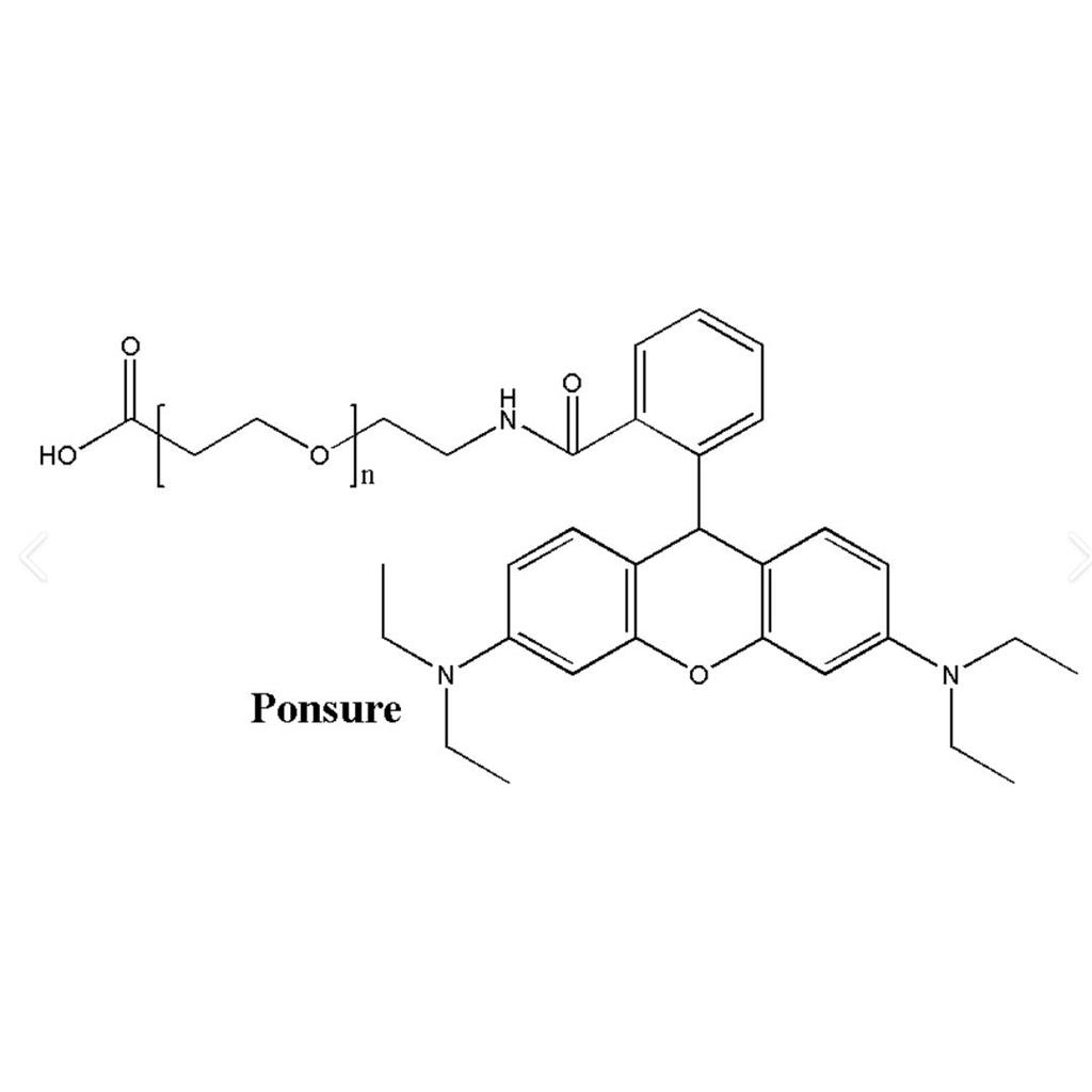 罗丹明B-PEG-蛋白A，RhodamineB-PEG-蛋白A，RB-PEG-Protein A