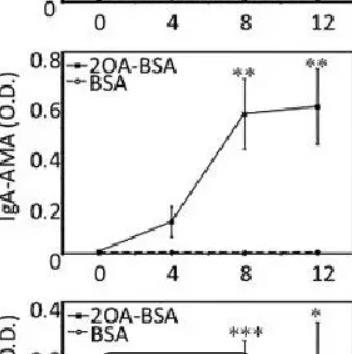  2-OA-BSA ，2 - 辛炔酸标记牛血清白蛋白