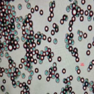 ps荧光微球粉末，聚苯乙烯荧光微球