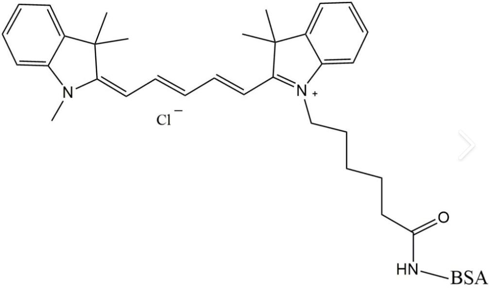 CY5-BSA,CY5-牛血清白蛋白