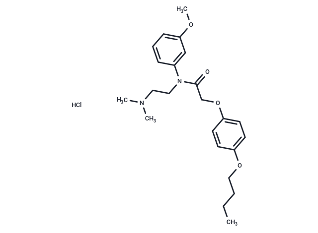 化合物 Acetamide, N-(m-anisyl)-2-(p-butoxyphenoxy)-N-(2-(dimethylamino)ethyl)-, hydrochloride|T29572|TargetMol