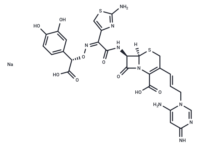 化合物 Antibiotic LB 10517|T25095|TargetMol