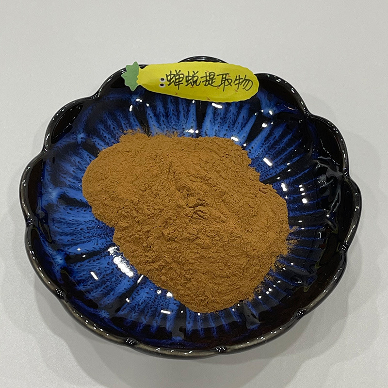 蝉蜕提取物