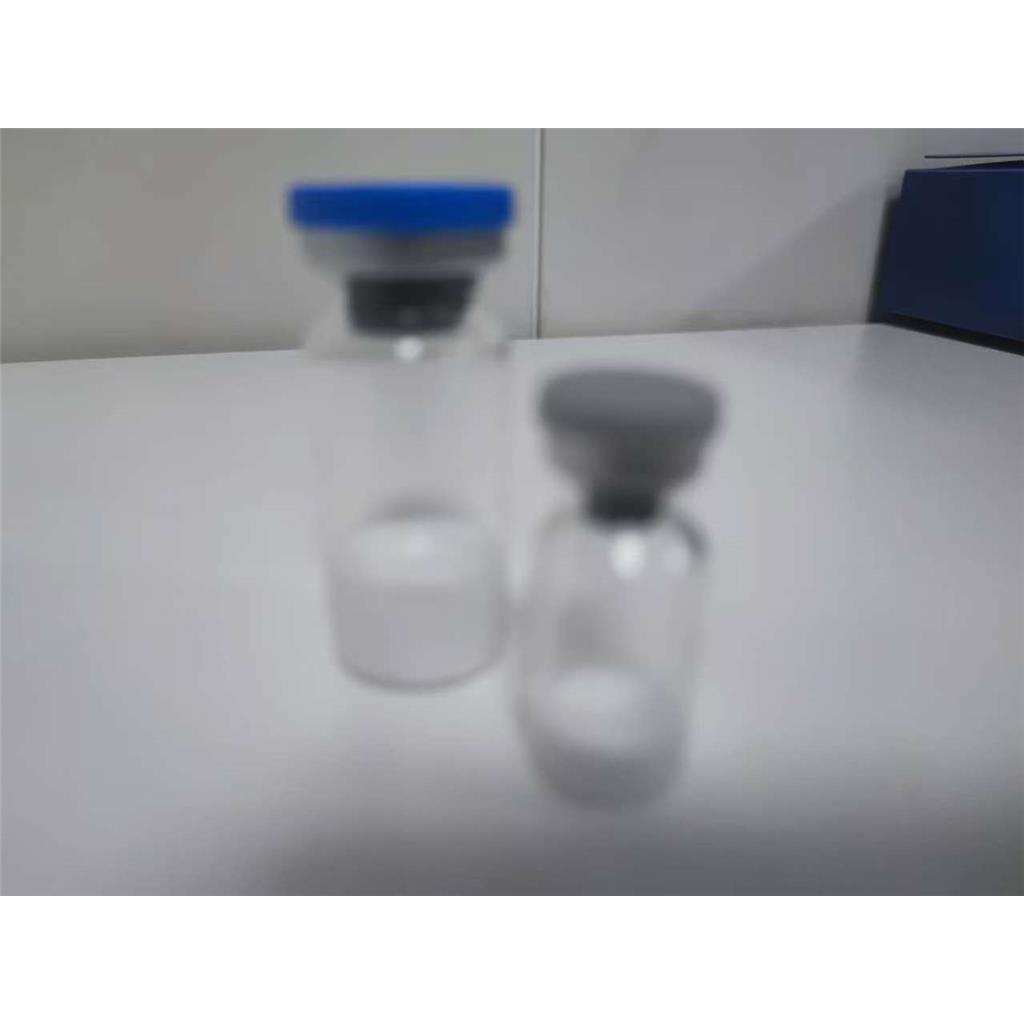 KRAS G12D/V/A/C 突变蛋白