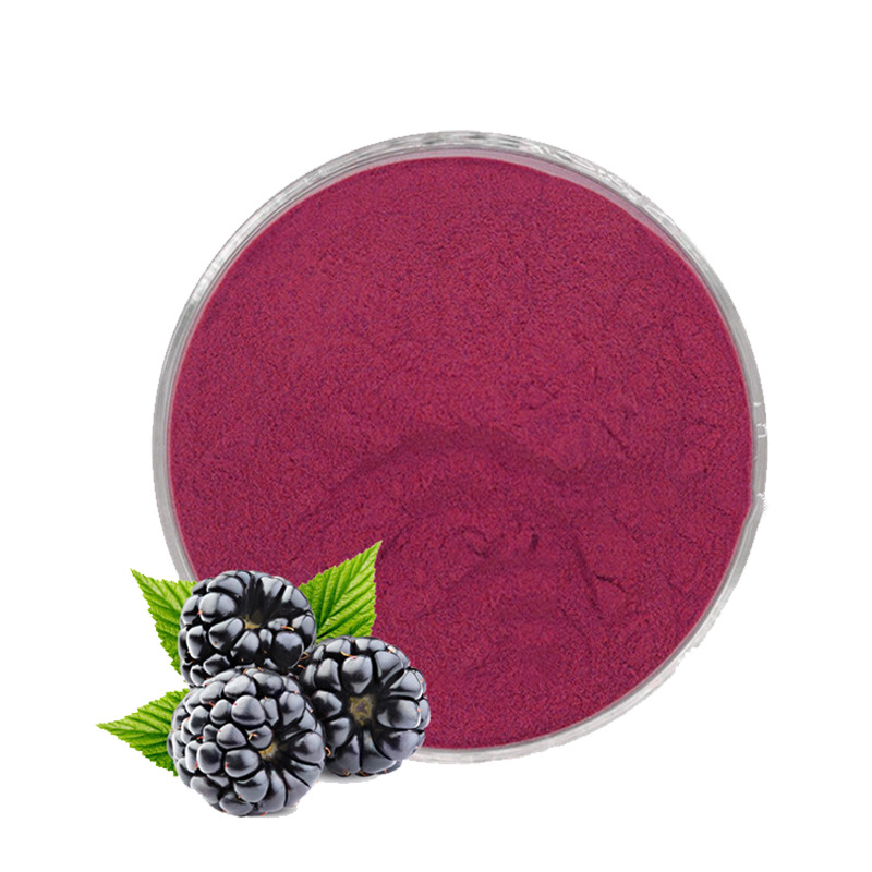 黑莓果粉  黑莓粉 水溶性黑莓粉