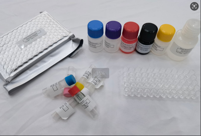 鸡卵清蛋白特异性IgG（OVA-sIgG）ELISA试剂盒