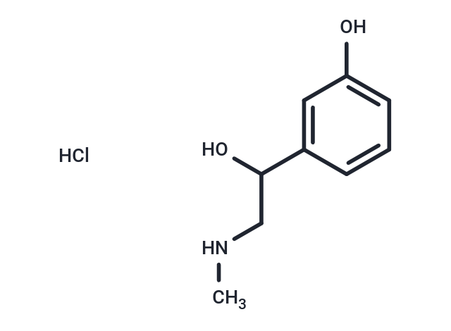 化合物 DL-Phenylephrine HCl|T0453L|TargetMol