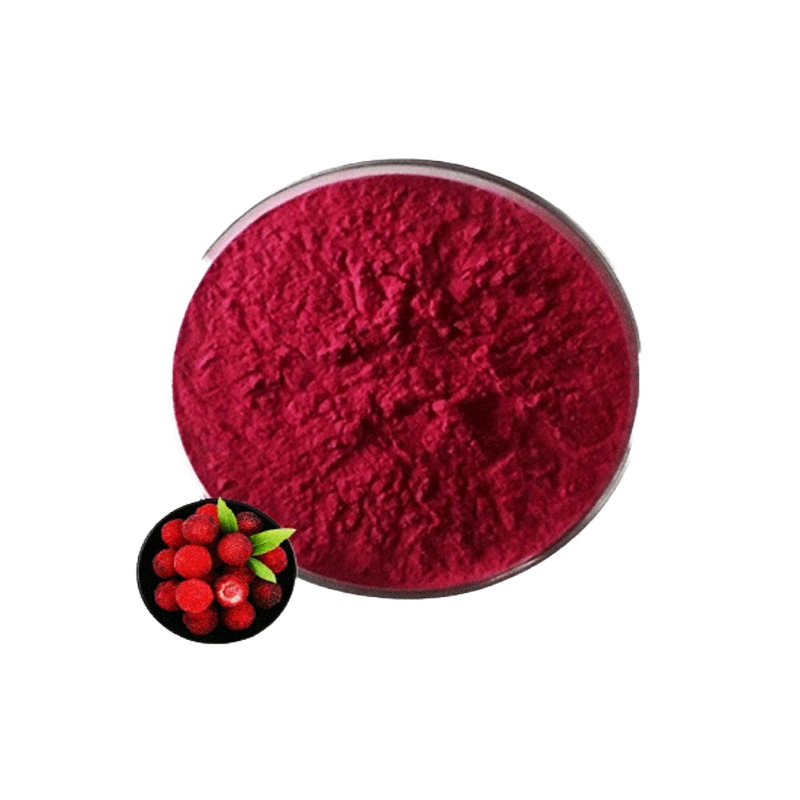 杨梅果粉 速溶杨梅果汁粉 杨梅粉