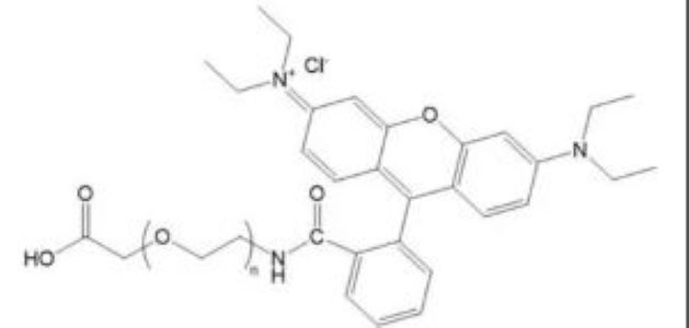 RB-聚乙二醇-牛血清白蛋白 ,RB-PEG-BSA