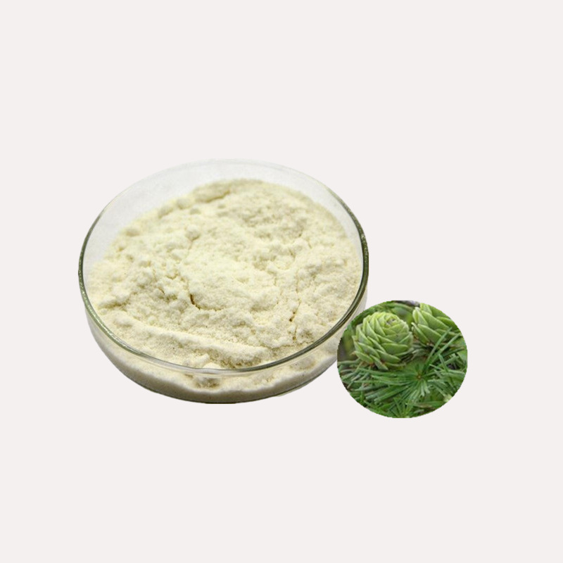 二氢槲皮素98% 花旗松素落叶松提取物